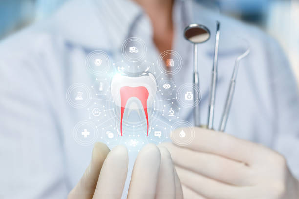 Professional Holistic Dental Care Services in Angleton, TX